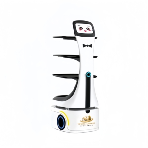 <span class=keywords><strong>Robot</strong></span> intelligent multifonctionnel en acier inoxydable à chargement automatique, à forte demande, facile à nettoyer, <span class=keywords><strong>avec</strong></span> réduction du bruit, pour hôtels et restaurants - Product Image 5