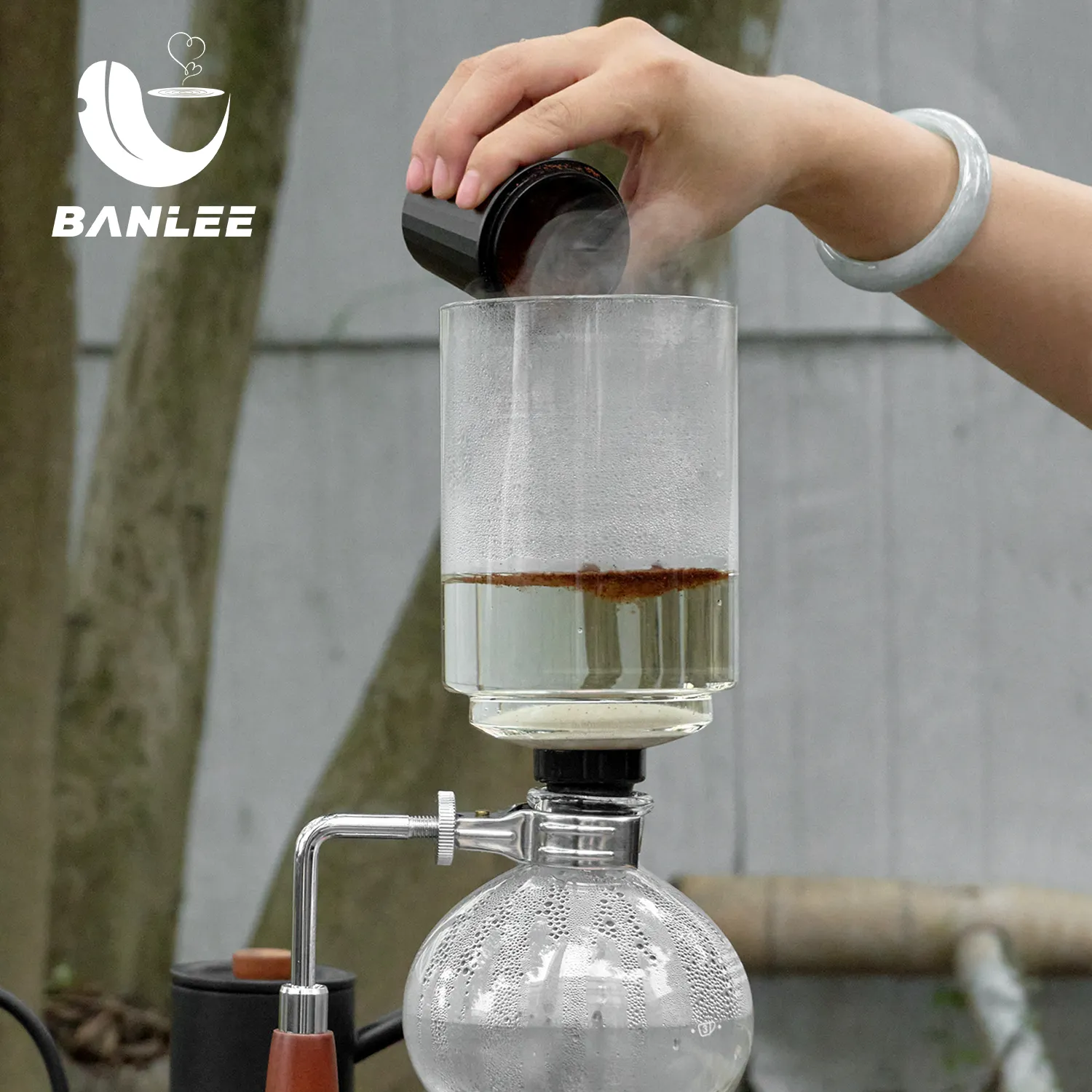 Banlee Home Kitchen Cafetière à siphon en verre borosilicate, cafetière à siphon