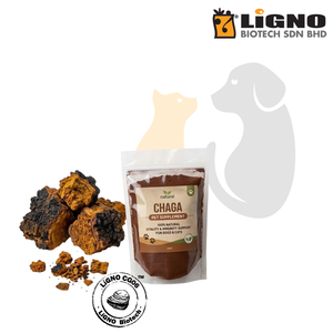 ผงชากา LiGNO CG06 บริสุทธิ์ สำหรับสัตว์เลี้ยง สุนัข แมว บำรุงขนเงางาม เสริมสร้างความแข็งแรง ได้รับการรับรองฮาลาลและโคเชอร์ รับผลิตแบบ OEM ODM - Product Image 1