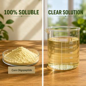 Poudre de peptides de collagène Yuthan de qualité alimentaire, protéines de maïs pures, extrait végétal, extraction par solvant, 90 % de peptides, 2 ans - Product Image 6