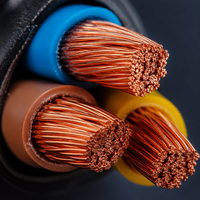 Câble de distribution d'énergie souterrain à enrobage direct, isolé XLPE, 4 conducteurs en cuivre, 25-300 mm²