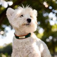 Collier pour chien en cuir rembourré doux classique de luxe avec gravure personnalisée du nom, design anti-perte à dégagement rapide pour les races petites/moyennes