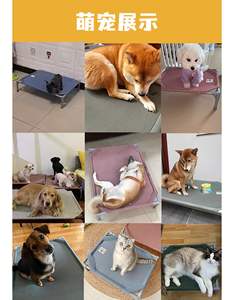 Nouveau <span class=keywords><strong>lit</strong></span> pour animaux <span class=keywords><strong>de</strong></span> compagnie pliable et écologique pour chiens et chats, universel pour les quatre saisons, respirant, surélevé, portable, niche pour animaux <span class=keywords><strong>de</strong></span> compagnie - Product Image 5