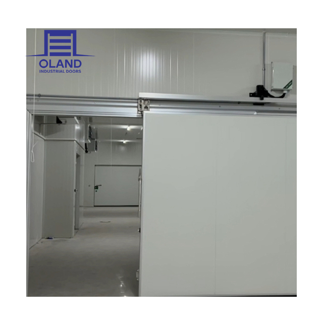 OLAND Leading Technology Automatic Cold Storage Room Stainless Steel Sliding Doors Thermal Insulation Industrial Design