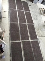 Lavande Labrador carreaux de granit antique poli avec points de départ brillants