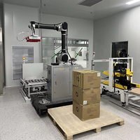 Robot Paletizador Automático Cobot con Brazo y Pinza para Cajas, Cartones, Latas y Papel, Paletizador Robótico de Alta Productividad para Cajas de 20 kg