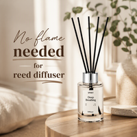 Diffuseur de parfum en gros avec bouteille transparente minimaliste et bâtonnets en fibre noire, marque privée OEM pour l'ambiance des espaces commerciaux