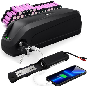 <span class=keywords><strong>Batterie</strong></span> de vélo électrique au lithium-ion Hailong 36V <span class=keywords><strong>48V</strong></span> 15AH pour vélo électrique avec chargeur BMS pour moteur 2000W 1000W 750W Wallenpower - Product Image 4