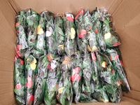 Guirlande de fleurs artificielles en soie de haute qualité, colliers de fleurs hawaïennes, couronne de vignes pour la décoration de fête et de mariage
