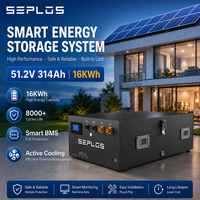 Batterie Lifepo4 empilable Seplos 16 kW 51,2 V 314 Ah, système de stockage d'énergie solaire domestique, stock européen, livraison rapide pour l'énergie solaire familiale