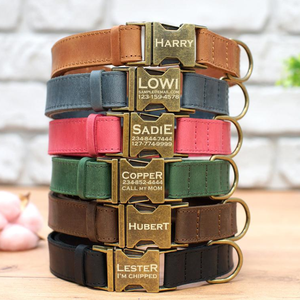 Collares y Correas Personalizadas para Mascotas, Collares de Perro de Cuero Genuino de Alta Calidad, Correa y Collar para Perro Bonitos - Product Image 1