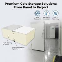 Panel Sandwich PU Baja Warna Tahan Cuaca, Panel Dinding Ruang Dingin Tahan Api B1 untuk Gudang Pendingin Komersial Luar Ruangan