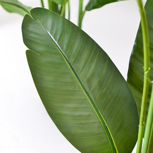 Goedkope decoratieve bonsai reizigerpalmen paradijsvogelpalm kunstplant van plastic te koop - Product Image 5