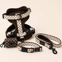 Ensemble de harnais pour chien de luxe, doux et réglable, avec laisse, collier, pochette et nœud papillon à pois, personnalisé en usine
