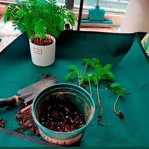 Hoạt động làm vườn tầng <span class=keywords><strong>Mat</strong></span> cho đất nhà máy nhân tạo <span class=keywords><strong>Mat</strong></span> làm vườn cấy Tarp hoa màu xanh lá cây không thấm nước <span class=keywords><strong>Mat</strong></span> - Product Image 1