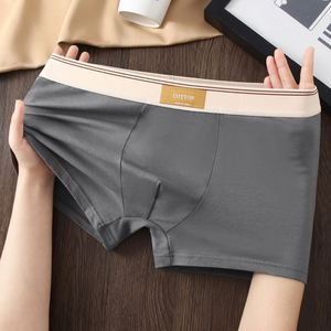 Calzoncillos Bóxer de Algodón 95% Antibacterianos para Hombre, de Tiro Medio, Transpirables, Teñido Liso, Tejido de Punto, con Logo en la Cintura, para Adultos, Verano - Product Image 4