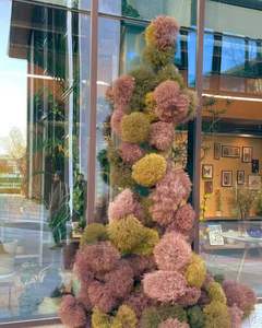 2025 Vente Chaude 20-30cm Préservé Tumbleweed Fleurs Séchées pour Table Basse Décoration Arrangements De Mariage Saint Valentin - Product Image 5