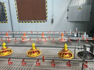 Bebedero de <span class=keywords><strong>Agua</strong></span> para Aves de Corral de 360 Grados en Venta - Product Image 3