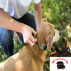 <span class=keywords><strong>Collar</strong></span> de perro <span class=keywords><strong>collar</strong></span> limitada cinch cadena del equipo para no sacar Correa caminando - Product Image 3