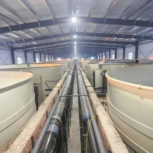 Système d'aquaculture entièrement automatique intelligent avec filtre RAS pour l'élevage de poissons et crevettes, configuration complète pour la culture du saumon en eau salée - Product Image 1