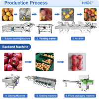 Hnoc Mango Sla Tomaat Fruit Proces Droger Lijn Groente Wassen En Drogen Machine