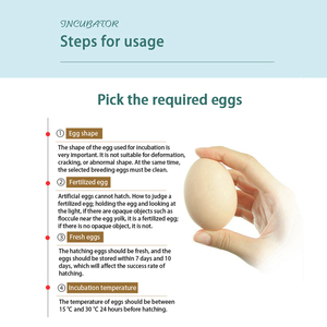 Incubadoras de huevos de aves de corral comerciales para incubar huevos capacidad incubadora de pollos e incubadora de pollos - Product Image 5