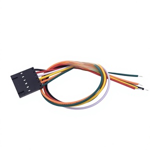 Hete verkoop Dupont 2.0mm 2-pins zuivere koperen geleider 12V gecertificeerde kabelboom voor auto's en machines - Product Image 6