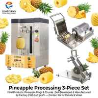 Complete set ananasverwerkingsapparatuur: schil-, snij-, ring- en wigmachine combo voor conserven, snacks en gedroogd fruit leverancier