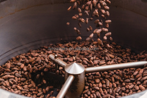 Recién llegados Inicio Muestra Eléctrica 1kg 2kg 3kg Café Maíz Cacao Tostador de granos de café Máquina para tostar Cacao - Product Image 6