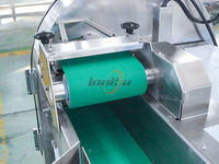 Industriële prei snijmachine groentesnijlijn groene ui lente-ui basilicum spinazie snijmachine groentesnijlijn machine