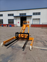 Grue de levage télescopique électrique pliable 1T, mini grue hydraulique mobile pour atelier, grue de sol pour moteur de voiture