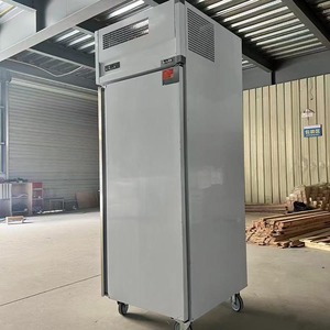Congelador y Refrigerador Vertical Comercial Swenza de Acero Inoxidable para Supermercados, Restaurantes y Cocinas DMBG001 French Doo - Product Image 3