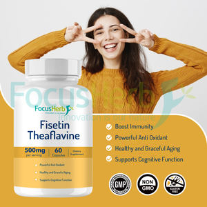 FocusHerb OEM ผงฟิเซติน ลิโปโซมอลฟิเซตินในรูปแบบแคปซูล 500 มก. แคปซูลฟิเซติน - Product Image 4