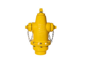 Robinet d'incendie <span class=keywords><strong>en</strong></span> fonte ductile à paroi épaissie pour la lutte contre les incendies <span class=keywords><strong>en</strong></span> extérieur - Product Image 3