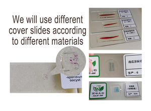 อุปกรณ์การศึกษาจากโรงงาน 100% สำหรับการสอนระดับมัธยมศึกษา ใช้ในโรงเรียน ผลิตโดยโรงงานมืออาชีพ พร้อมสไลด์ไมโครสโคปสำหรับการศึกษาสัตว์ - Product Image 5