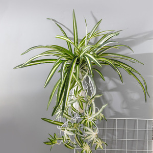 Plante artificielle murale en forme d'araignée, verdure suspendue pour la décoration intérieure, style minimaliste, emballage individuel - Product Image 1