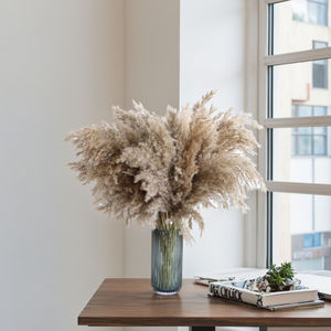 Plumes de roseau en plastique modernes, accessoires de décoration en filet, pot de fleurs rouge sans cheveux pour la maison, le salon et la prise de vue. - Product Image 5