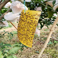 Gele dubbelzijdige kleefstrips insectenlijmplaten voor bladluizen, wittevliegen, schimmelmuggen, fruitvliegen, kas- en tuinplaagbestrijding