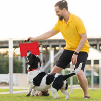 Coussin de mastication pour chien en chanvre dur, résistant aux morsures, jouet interactif d'entraînement, aide à l'éducation canine, jouet pour animaux de compagnie