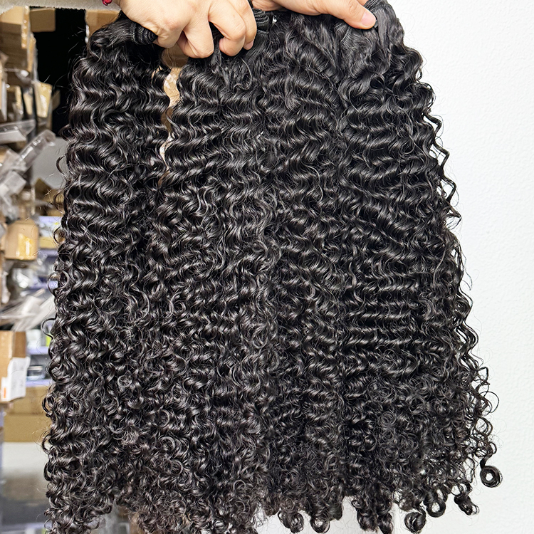 burmese curly