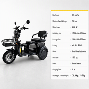 Tricycle Électrique <span class=keywords><strong>Gepard</strong></span> XUANKU Nouveau 600W 48V 21AH Scooter à Trois Roues Charge Utile 100kg Vente en Gros Export Trike Motorisé pour Adultes - Product Image 4