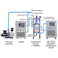 Réacteur en verre à double enveloppe automatique avec pompe et moteur, capacité 1-200L, vente en gros usine