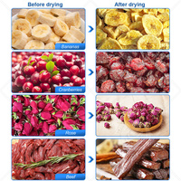 Orme Professionele Zonne-Lucht Biltong Droger Mango Fruit Drogen Machine Energie Warmtepomp Pasta Droger