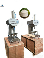 Petite machine verticale de pelage de noix de coco sèche, machine de découpe de noix de coco verte, fixation par griffe pneumatique, machine de pelage de coque de noix de coco