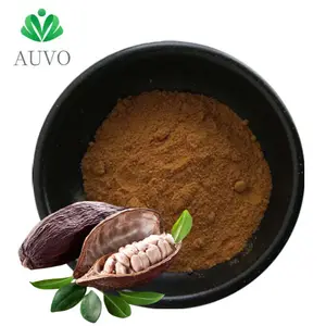 Estratto di cacao biologico AUVO 20% di teobromina in polvere estratto di semi di teobromo in polvere