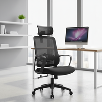 Chaise de bureau en mesh noir à dossier haut, directement de l'usine |   Chaise ergonomique à hauteur réglable avec accoudoirs fixes intégrés en nylon pour la maison et le bureau