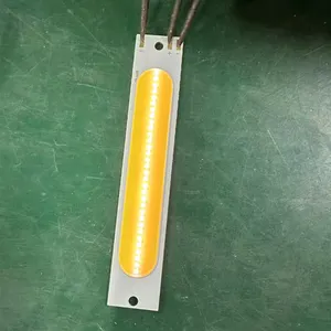 실외 조명용 고출력 20W 30W 레드 화이트 COB LED 칩