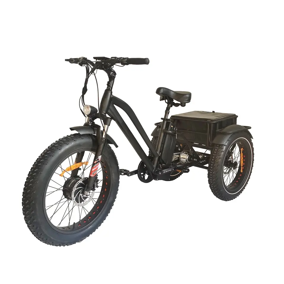 Nhà Máy Giá 3 bánh xe chất béo lốp xe đạp điện phía trước động cơ điện Trike ba bánh cho người lớn