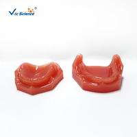 Modelo de mandíbula edéntula completa, modelo de hueso alveolar atrófico superior e inferior para entrenamiento de prótesis dentales completas, CE/ISO/ROHS/CNAS