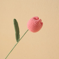 Kit de Crochet Fleurs Réalistes Faites à la Main – Petites Tulipes en Peluche pour Remise de Diplôme, Noël, Nouvel An Chinois